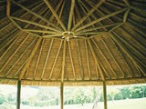 coberturas (16)